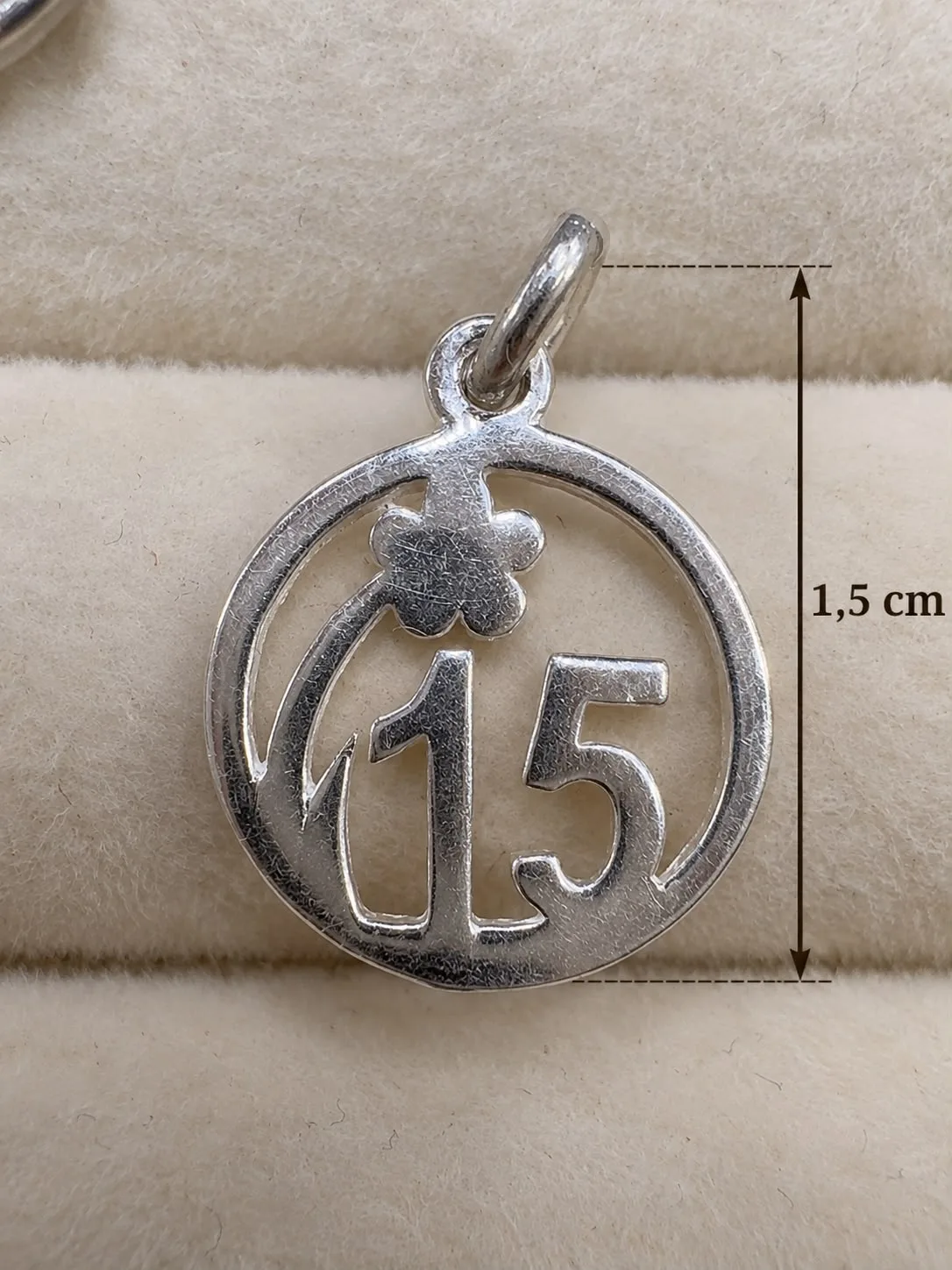 Dije 15 N°8