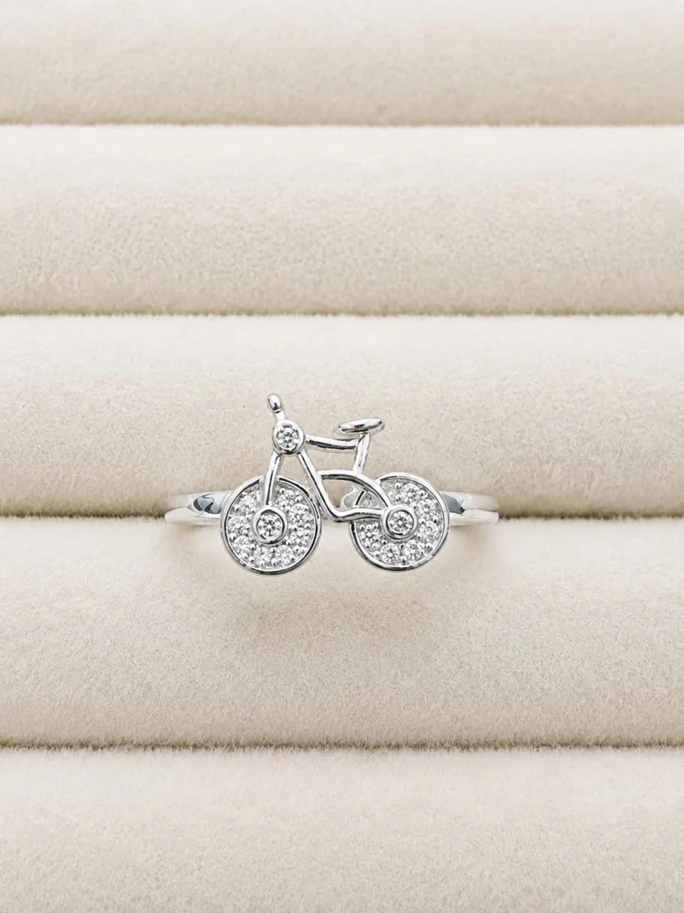 Anillo Bike
