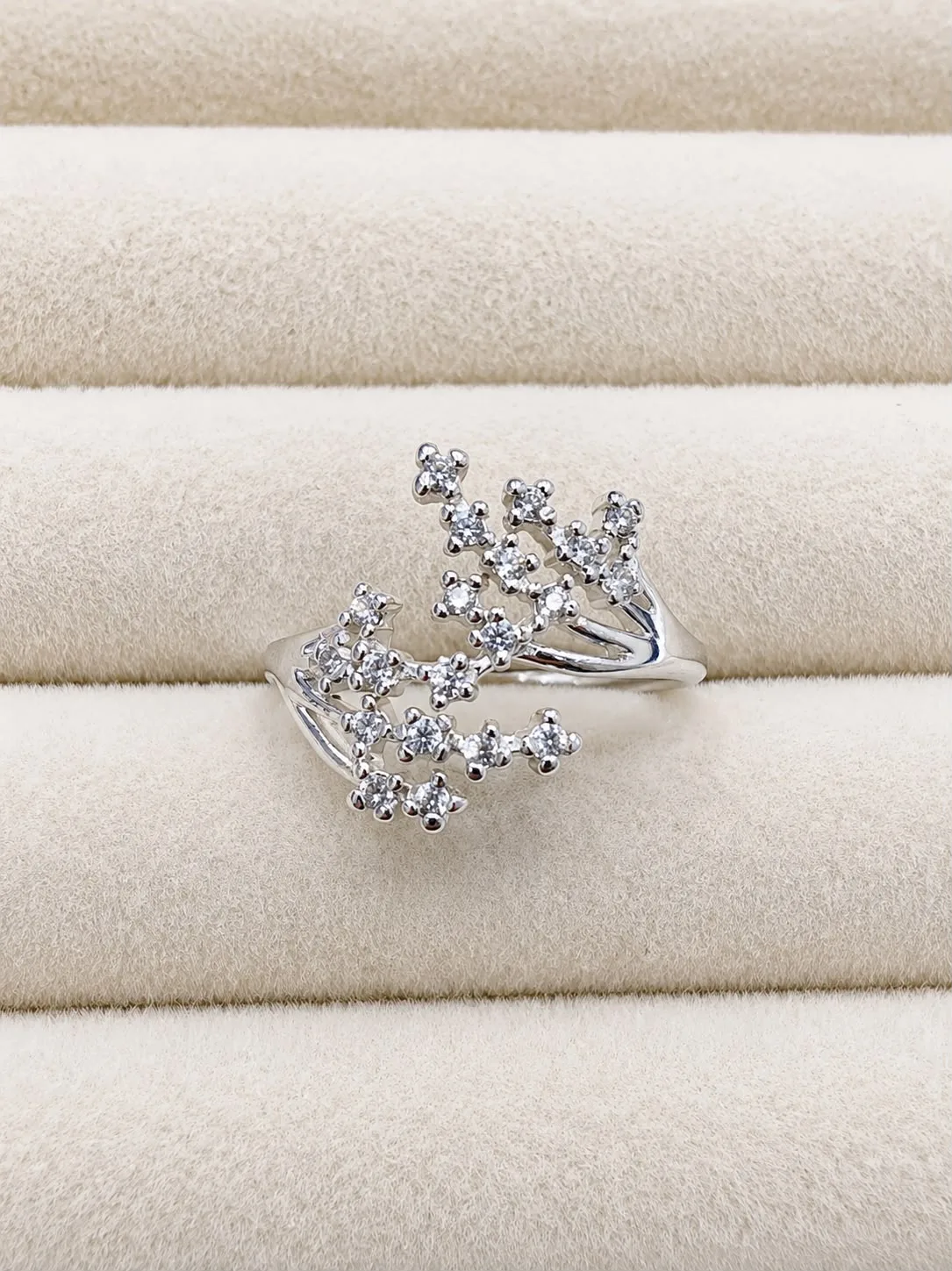 Anillo Arbol